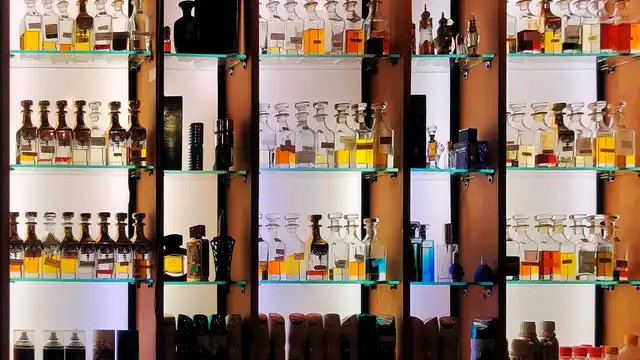 Prateleiras iluminadas repletas de frascos de perfume de diversas marcas