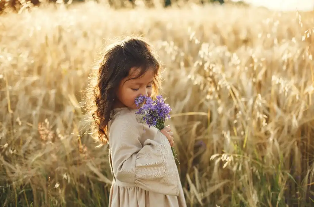 Menina em campo dourado sentindo o cheiro de um buquê de flores roxas