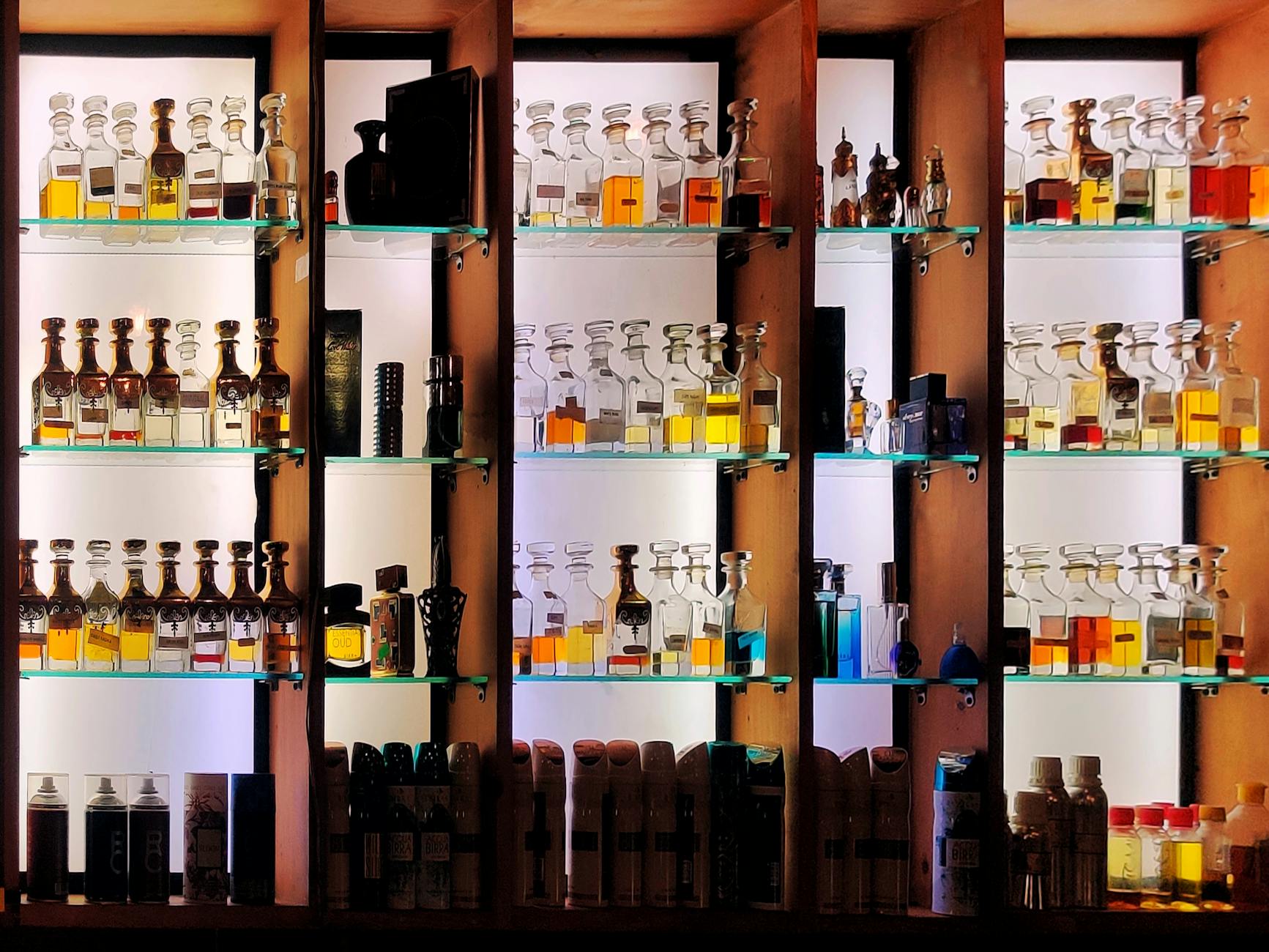 Prateleiras iluminadas repletas de frascos de perfume de diversas marcas