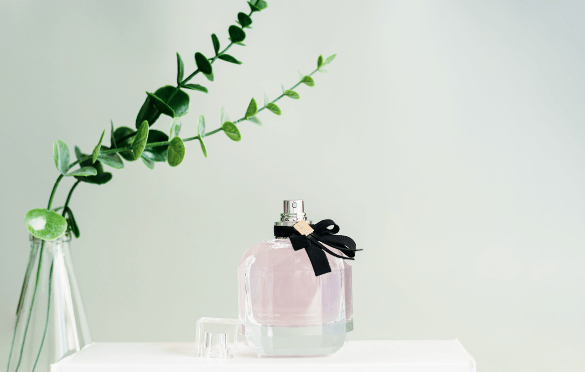 Frasco de perfume rosado com laço preto sobre fundo neutro e ramo de eucalipto