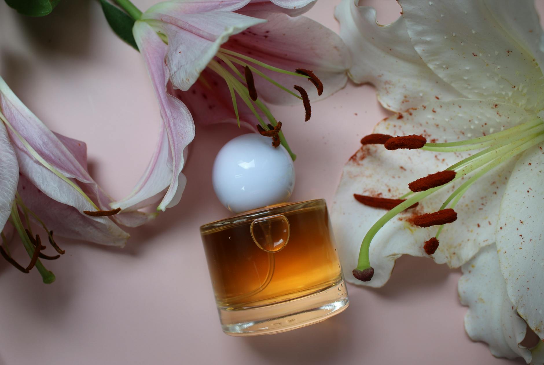Frasco de perfume âmbar elegante cercado por lírios cor-de-rosa