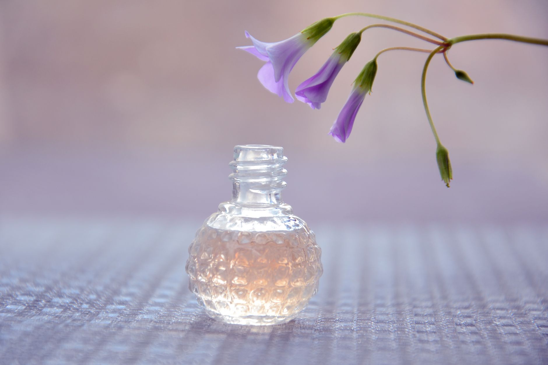 Pequeno frasco de perfume sem rótulo com flor delicada sobre fundo lilás suave